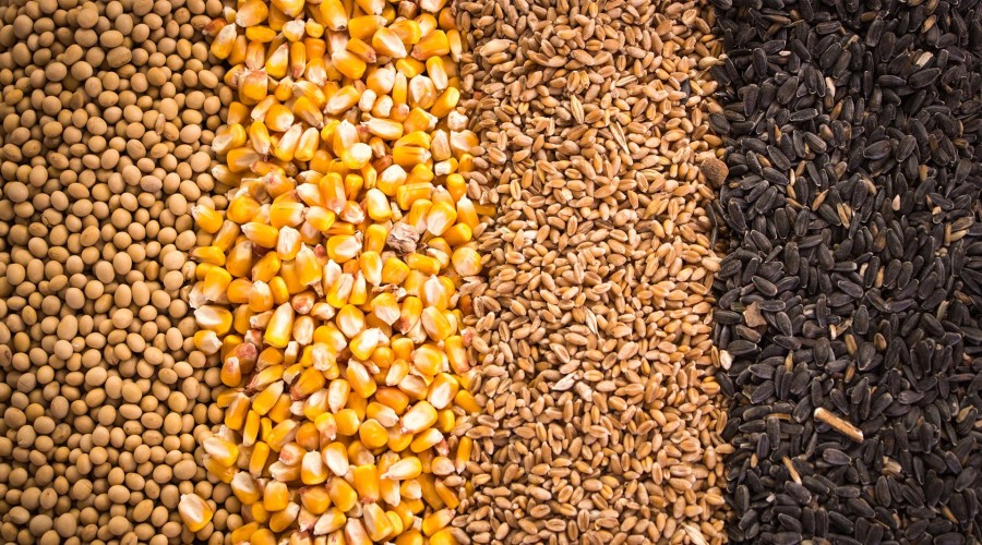 Agro Commodities
