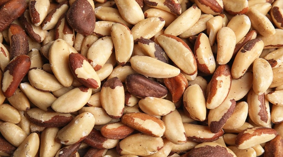 Brazil Nuts