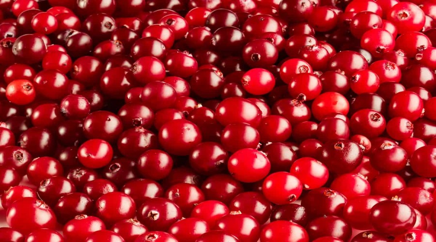 Cranberry