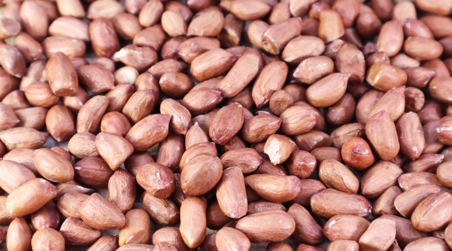Peanuts