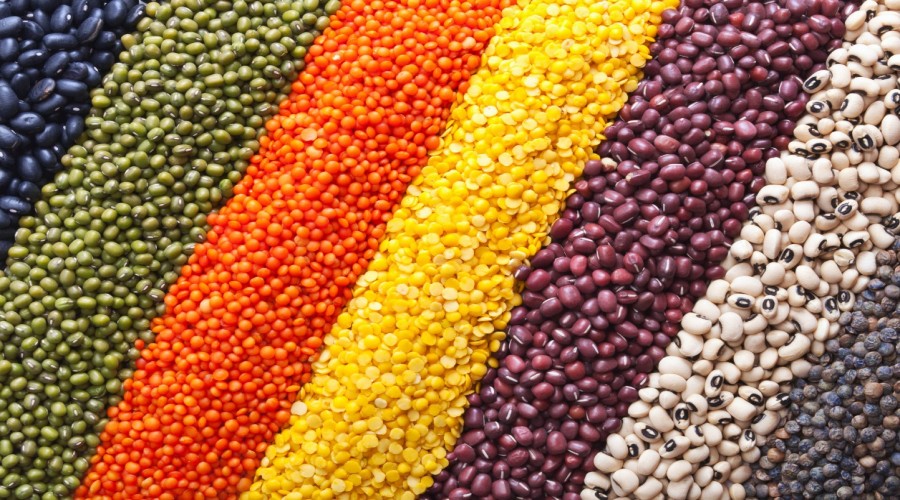 Pulses